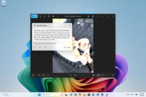 A Windows 11 hamarosan már a privát képeidet is elemezheti